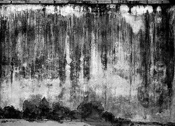 《宝可梦：朱＆紫》无法进NPC家中闲逛引玩家吐槽